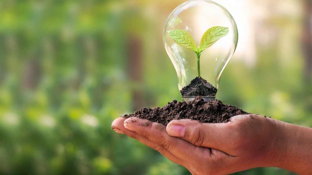 hands holding a bulb with plant inside