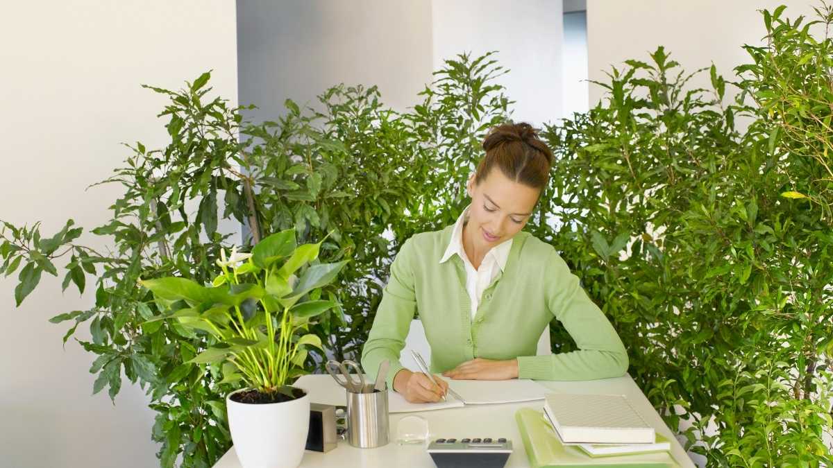 lady at work desk with plants around her