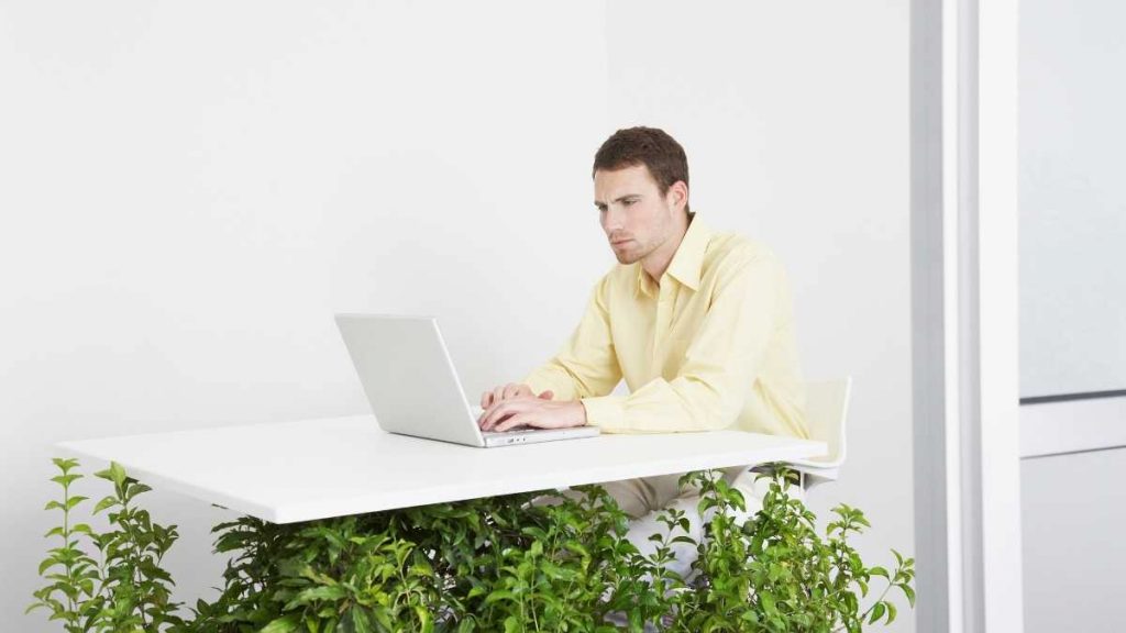 man at work desk with plants under desk