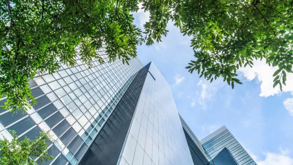 tall buildings with greenery