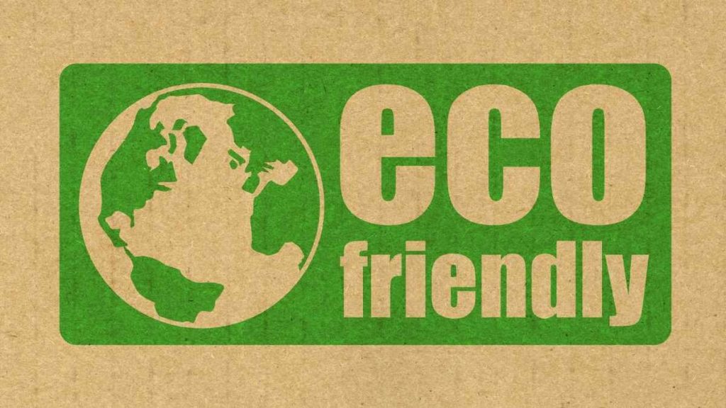 eco friendly activities