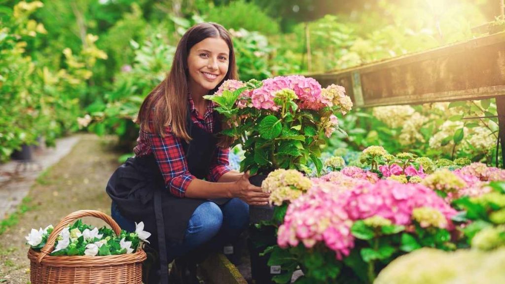 expert gardener