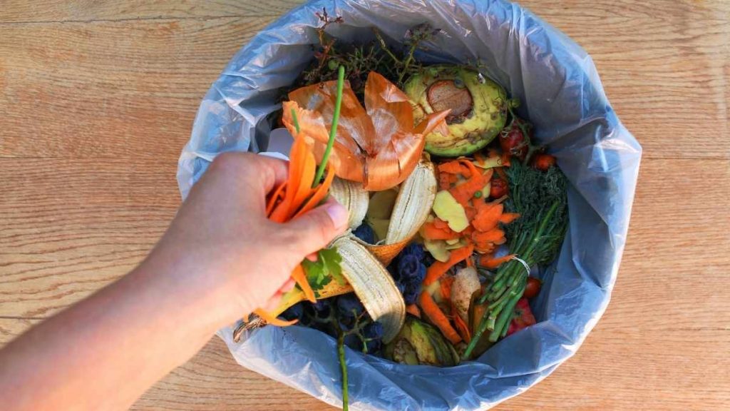 food waste in trash