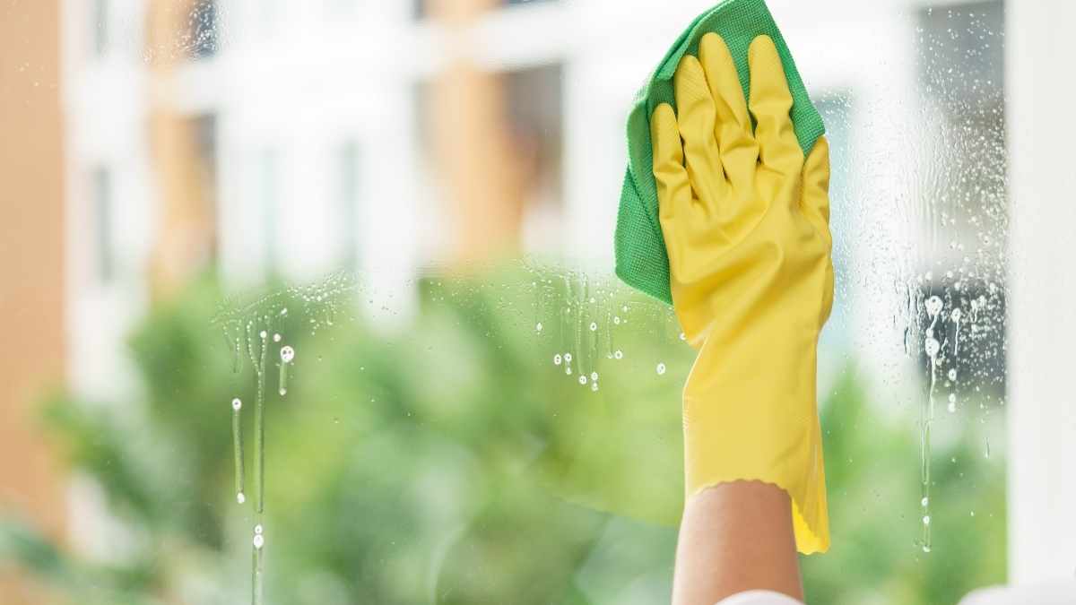 green cleaning guide for dummies