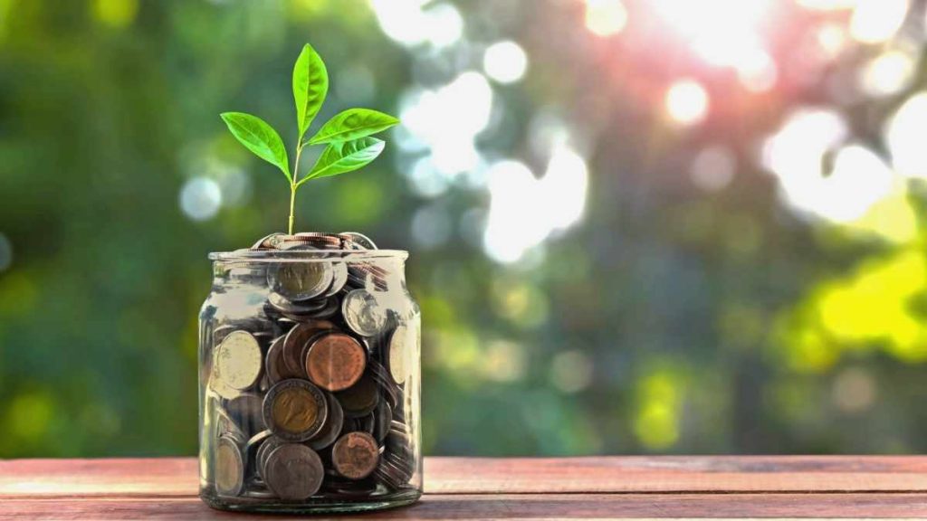 money in a jar with plant growing out of it