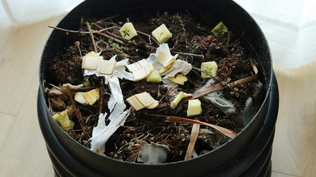 indoor compost bin