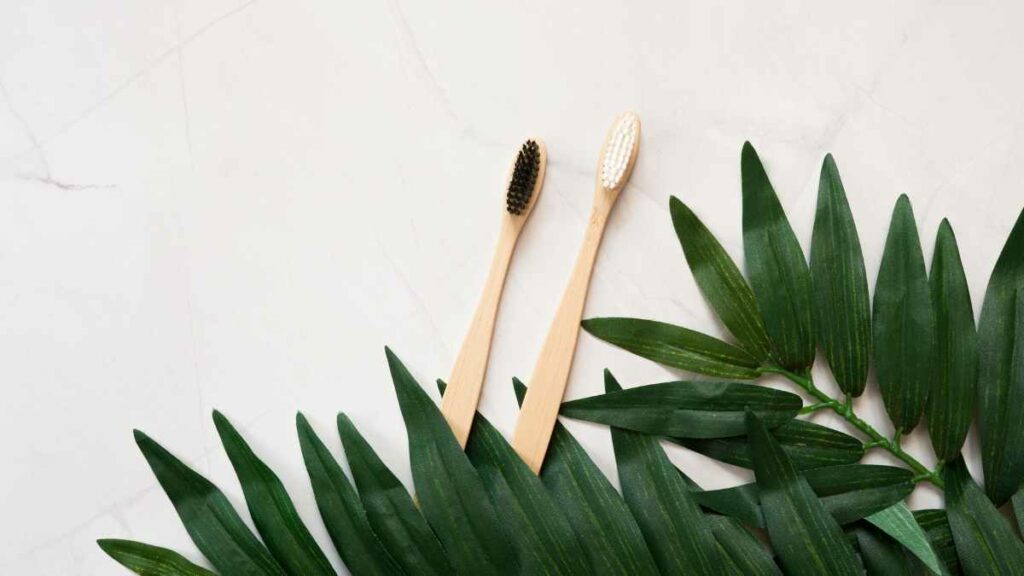 Bamboo Toothbrushes