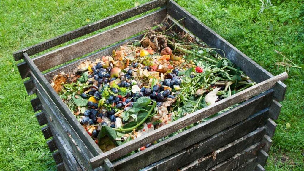 compost bin