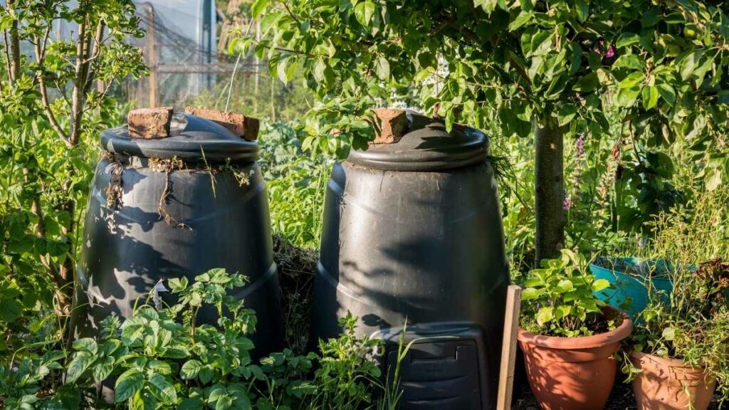 compost bins