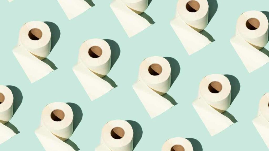 bamboo toilet paper