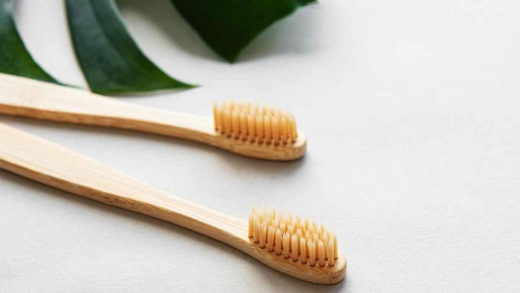 bamboo toothbrush