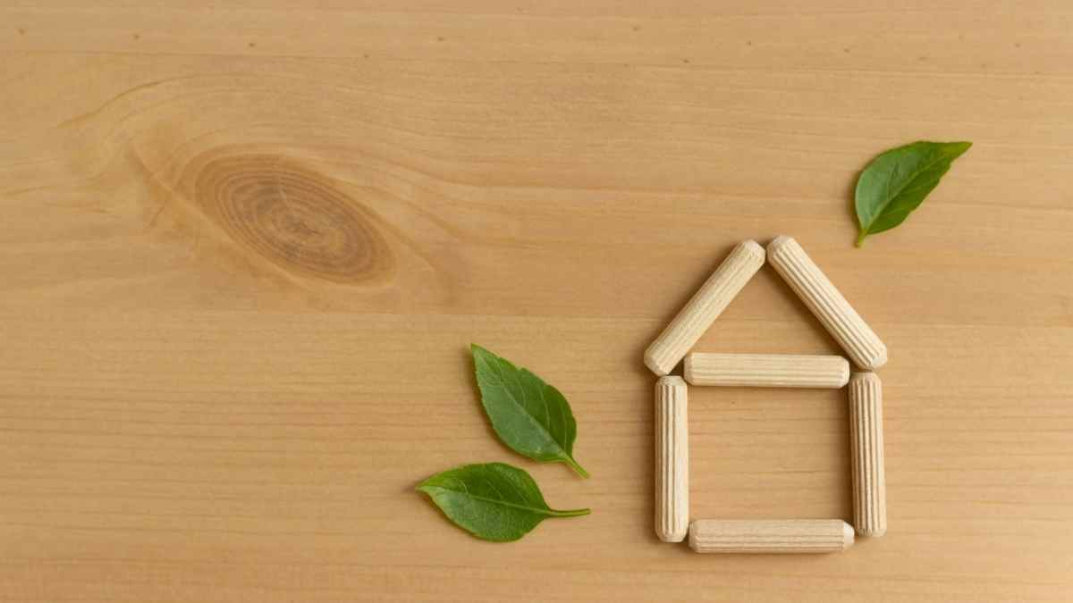how to be more eco-friendly at home