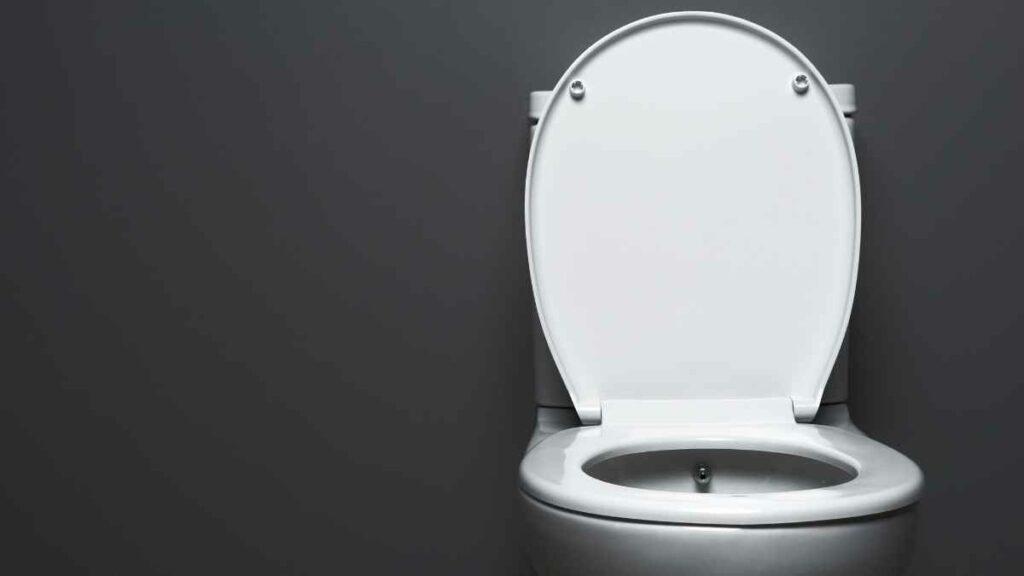 toilet with lid up