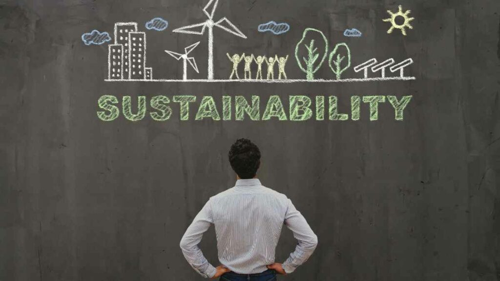 sustainability on a chalk board