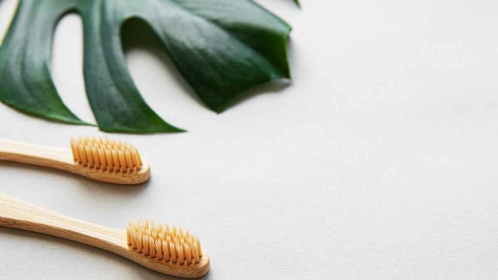 bamboo toothbrush