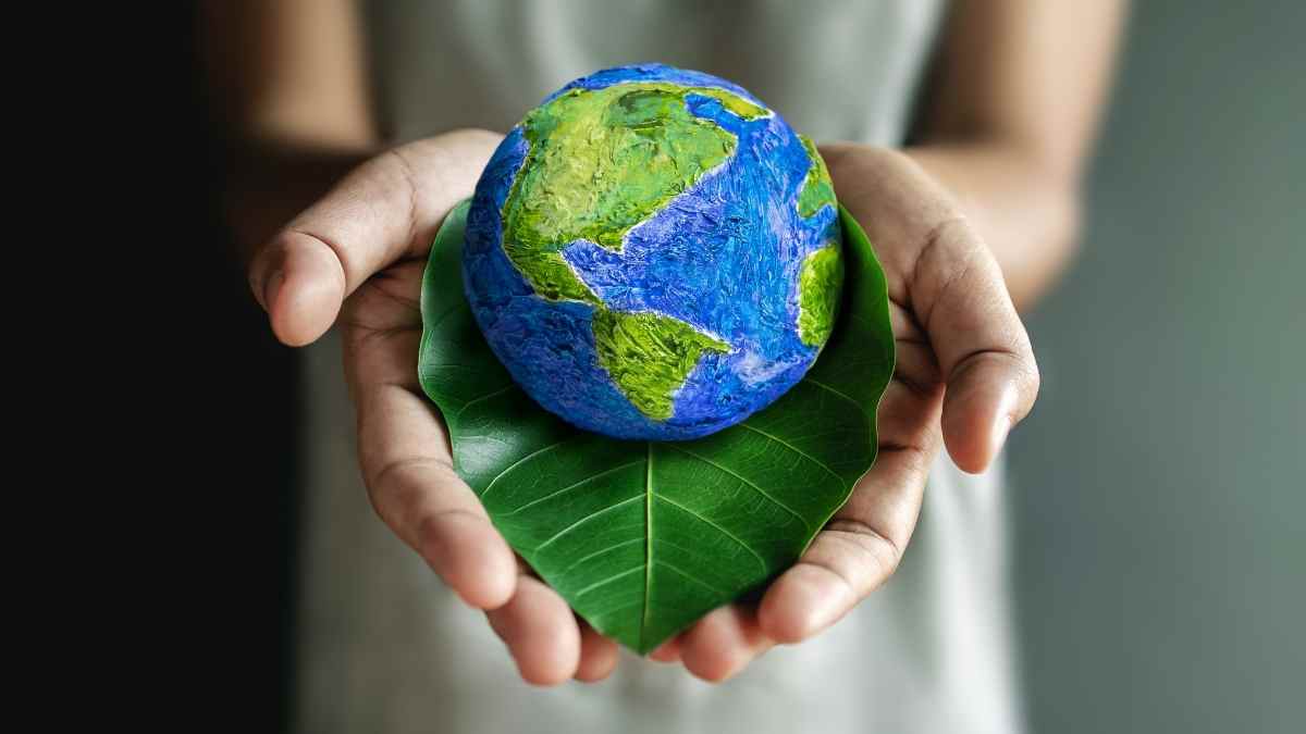 world in a leaf - sustainability